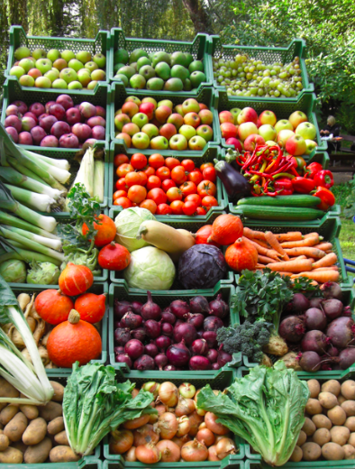 Die Gemüsekiste: Vom Bio-Bauern direkt in die Box